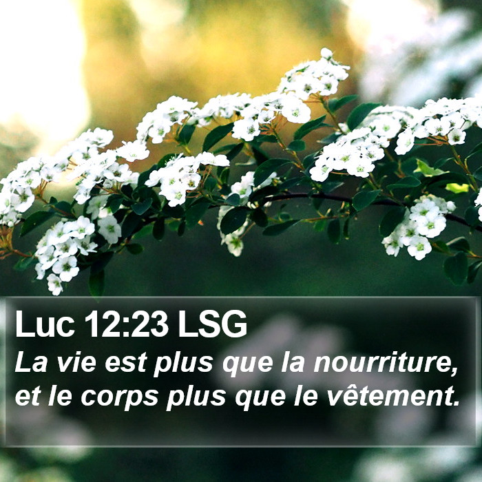 Luc 12:23 LSG Bible Study