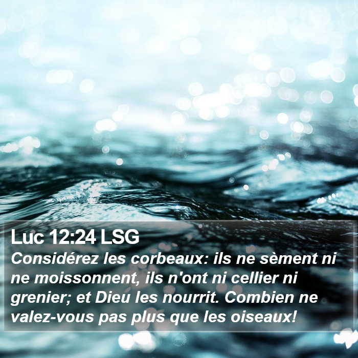 Luc 12:24 LSG Bible Study