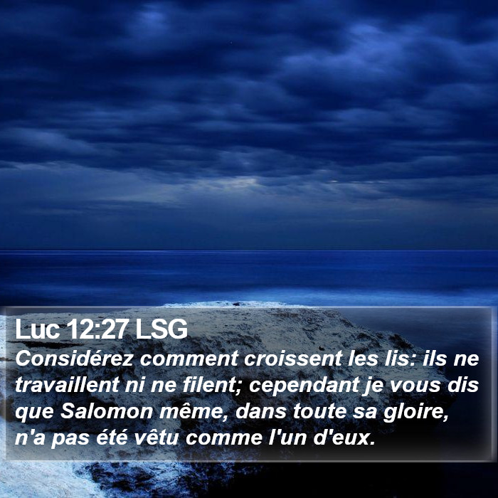 Luc 12:27 LSG Bible Study