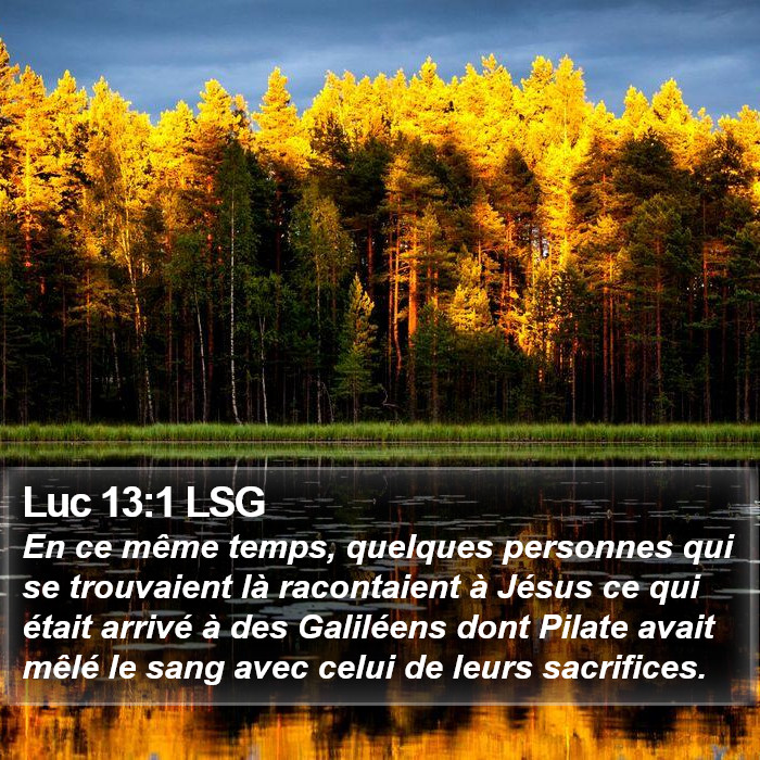 Luc 13:1 LSG Bible Study