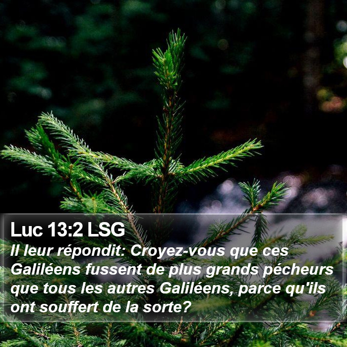 Luc 13:2 LSG Bible Study