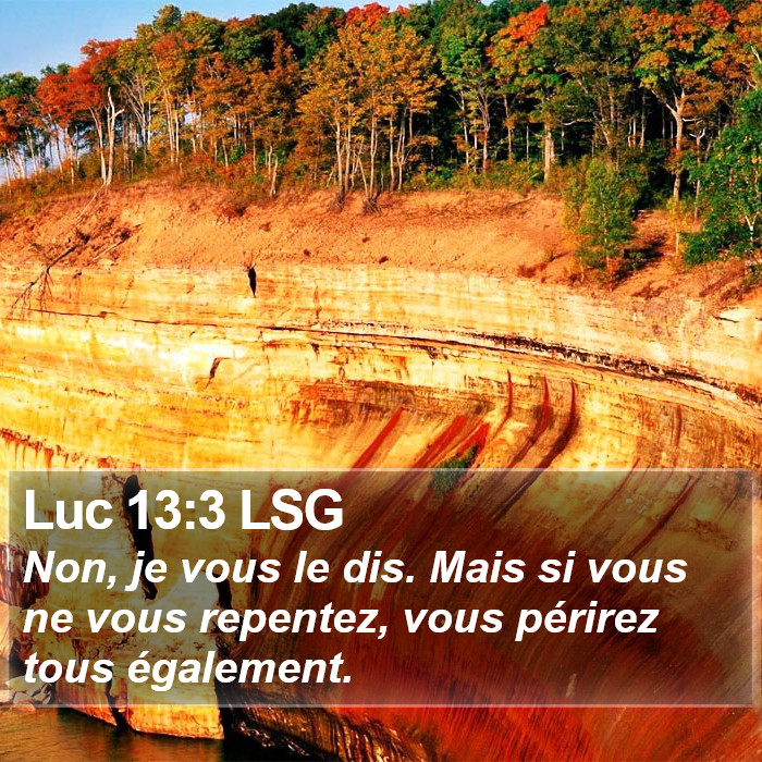 Luc 13:3 LSG Bible Study