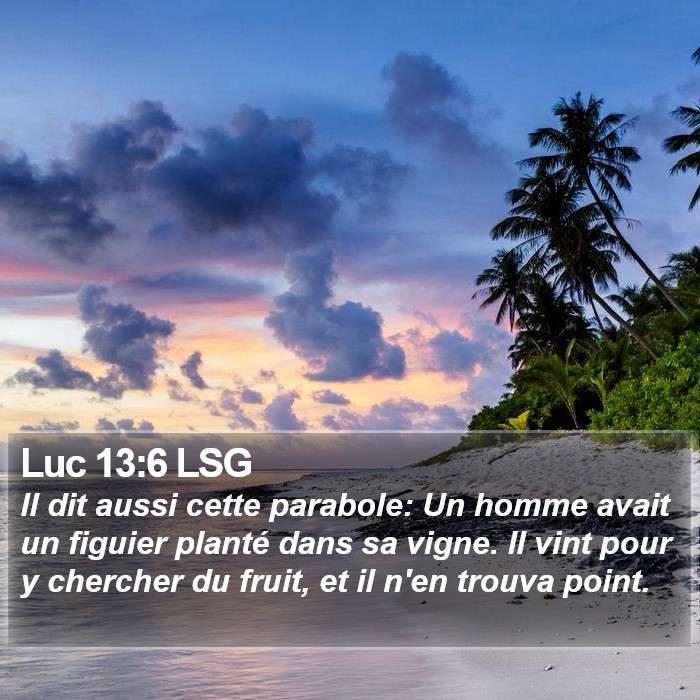 Luc 13:6 LSG Bible Study