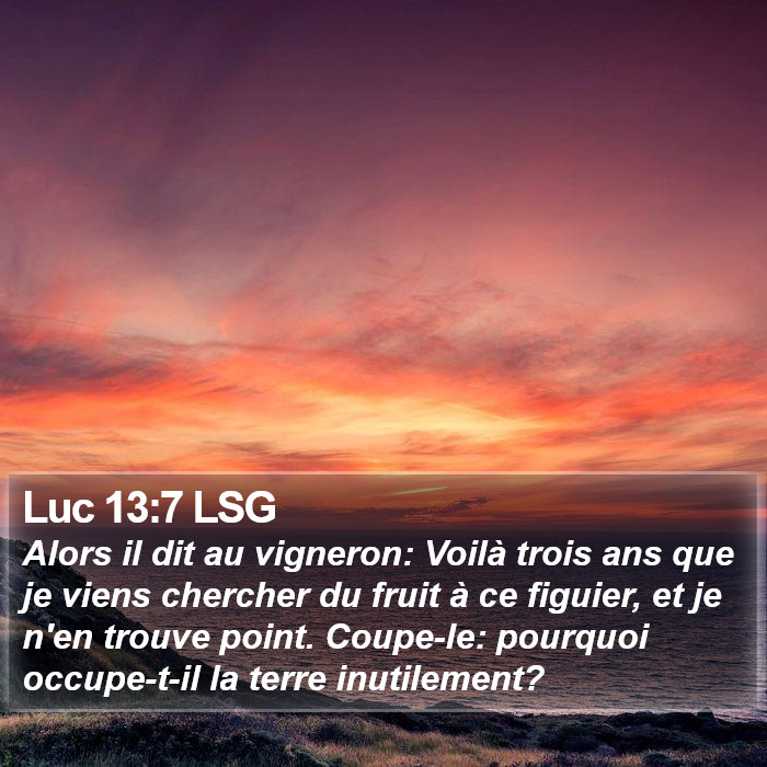 Luc 13:7 LSG Bible Study