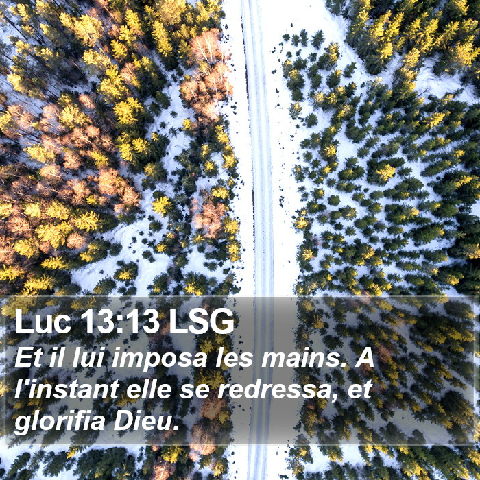 Luc 13:13 LSG Bible Study