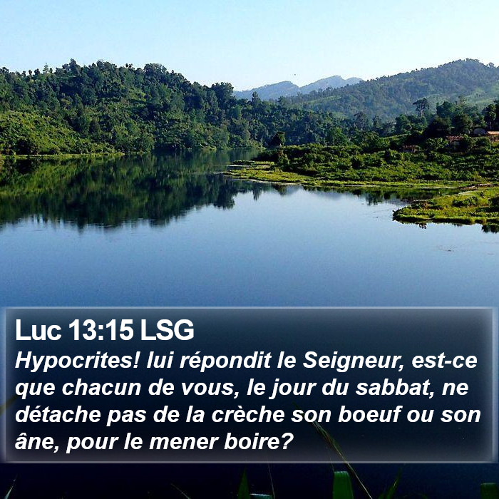 Luc 13:15 LSG Bible Study