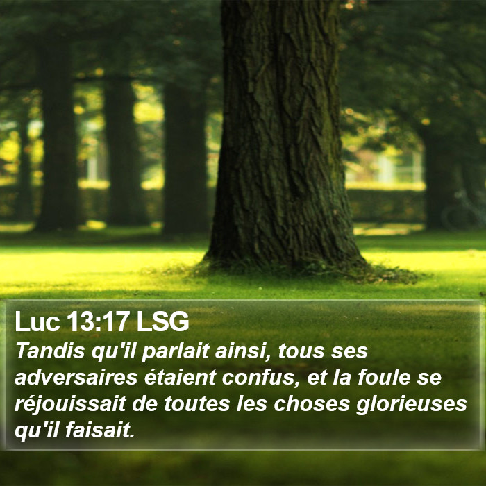 Luc 13:17 LSG Bible Study