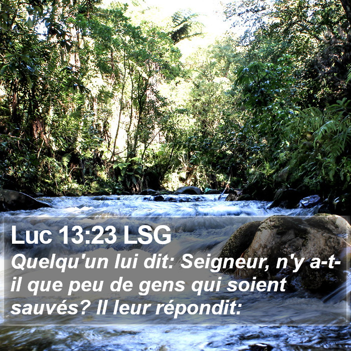 Luc 13:23 LSG Bible Study