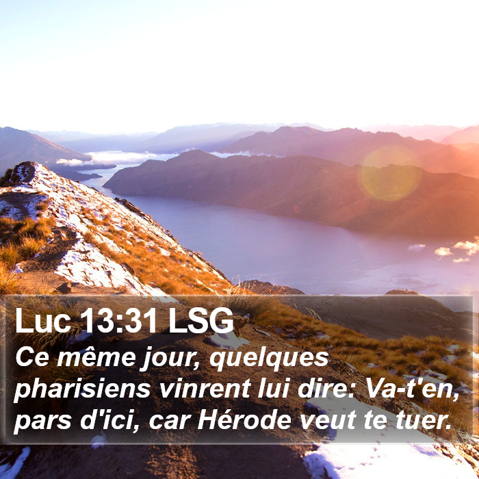 Luc 13:31 LSG Bible Study