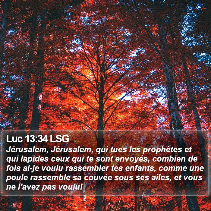 Luc 13:34 LSG Bible Study