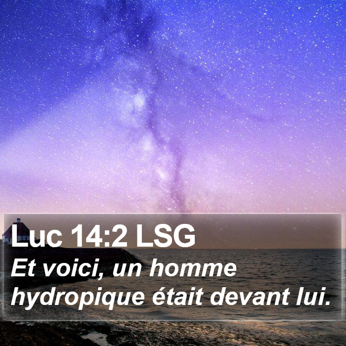 Luc 14:2 LSG Bible Study