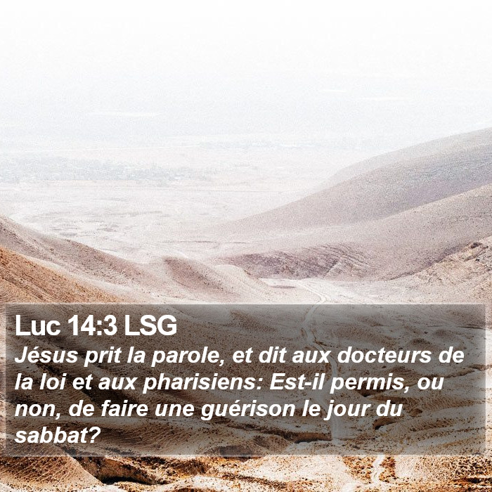 Luc 14:3 LSG Bible Study