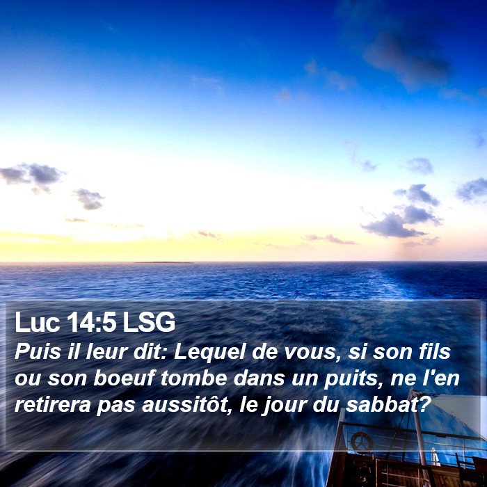 Luc 14:5 LSG Bible Study