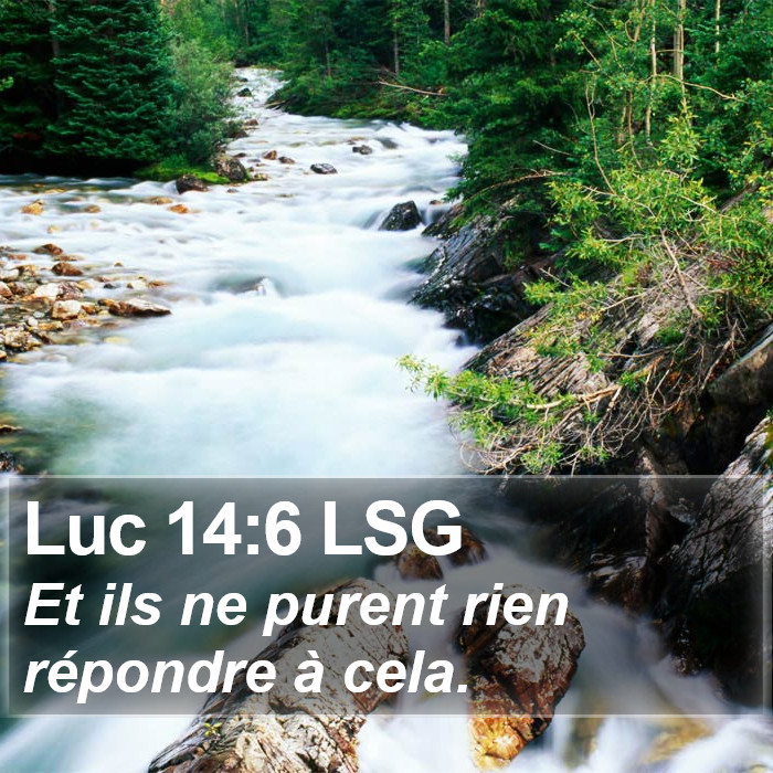 Luc 14:6 LSG Bible Study