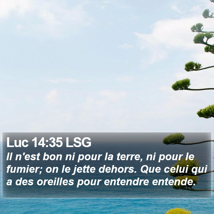 Luc 14:35 LSG Bible Study