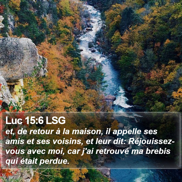 Luc 15:6 LSG Bible Study