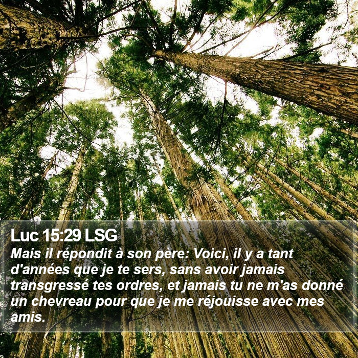 Luc 15:29 LSG Bible Study