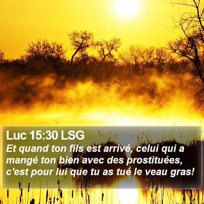 Luc 15:30 LSG Bible Study