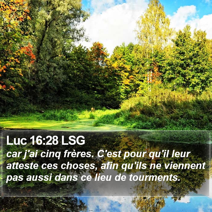 Luc 16:28 LSG Bible Study