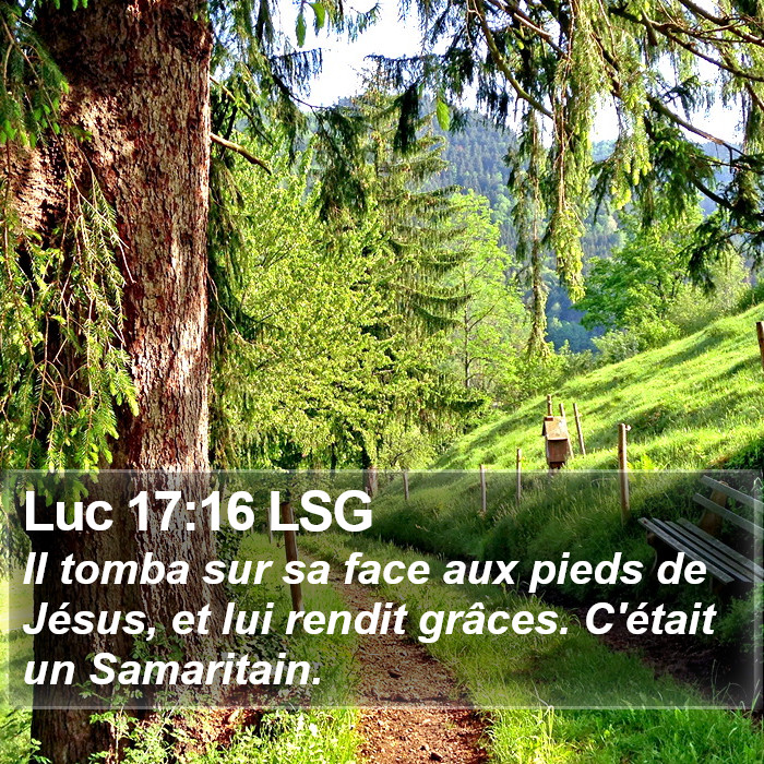 Luc 17:16 LSG Bible Study