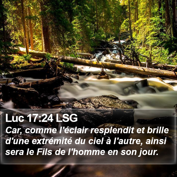 Luc 17:24 LSG Bible Study