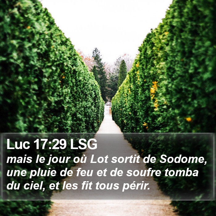 Luc 17:29 LSG Bible Study