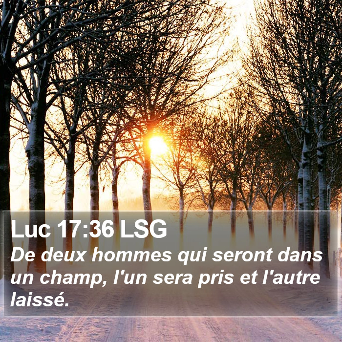 Luc 17:36 LSG Bible Study