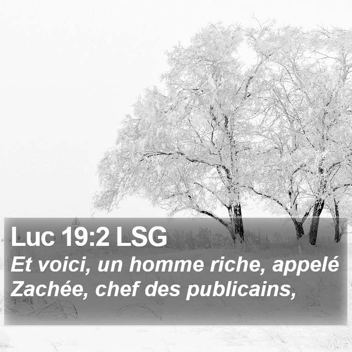 Luc 19:2 LSG Bible Study