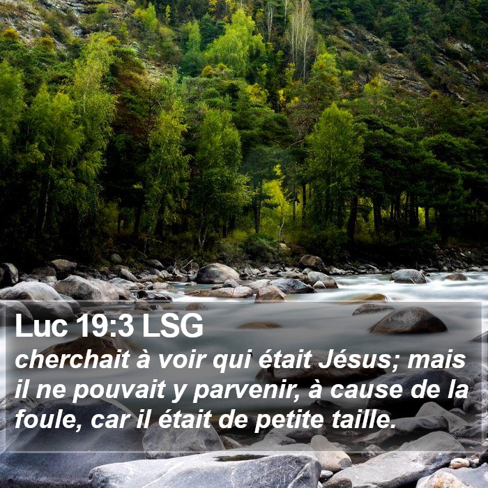 Luc 19:3 LSG Bible Study