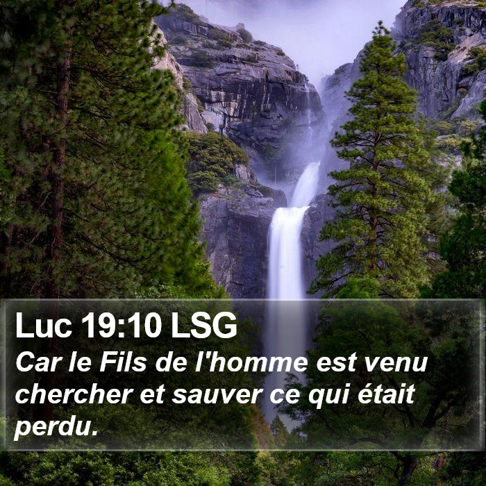 Luc 19:10 LSG Bible Study