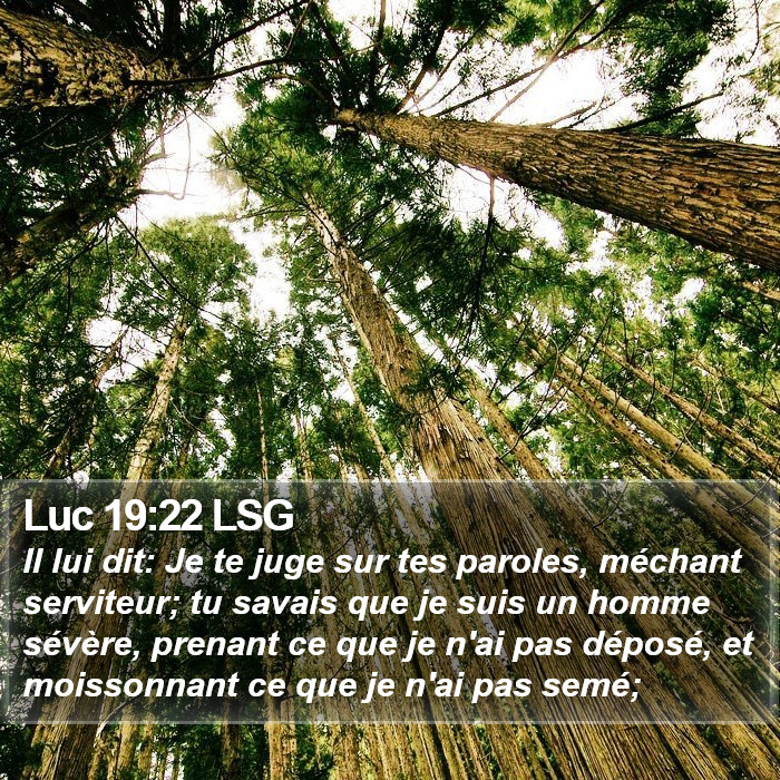 Luc 19:22 LSG Bible Study