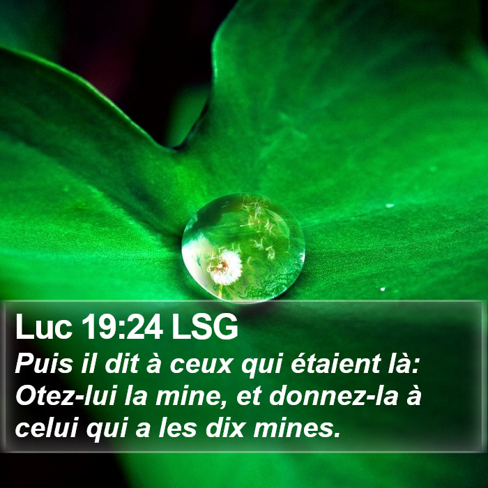 Luc 19:24 LSG Bible Study