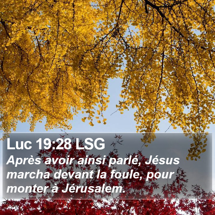 Luc 19:28 LSG Bible Study