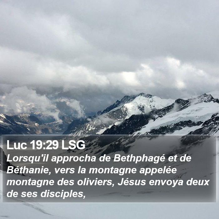 Luc 19:29 LSG Bible Study