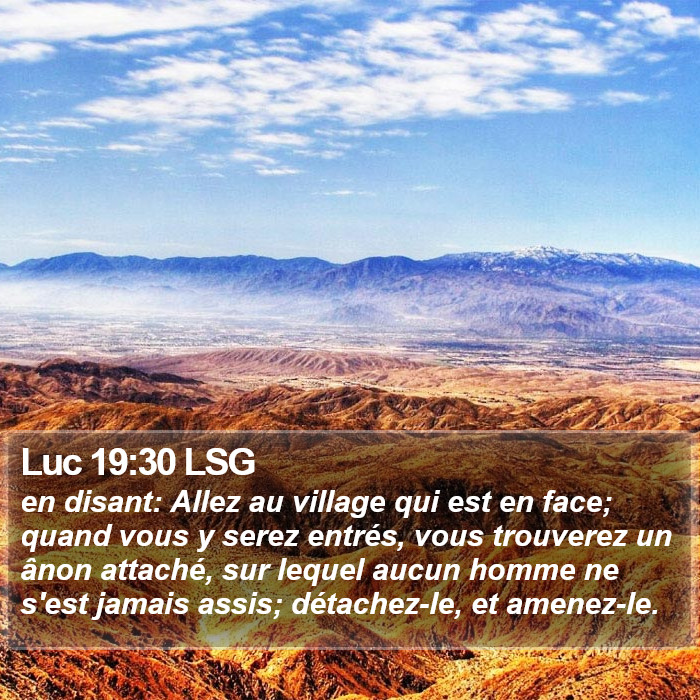 Luc 19:30 LSG Bible Study