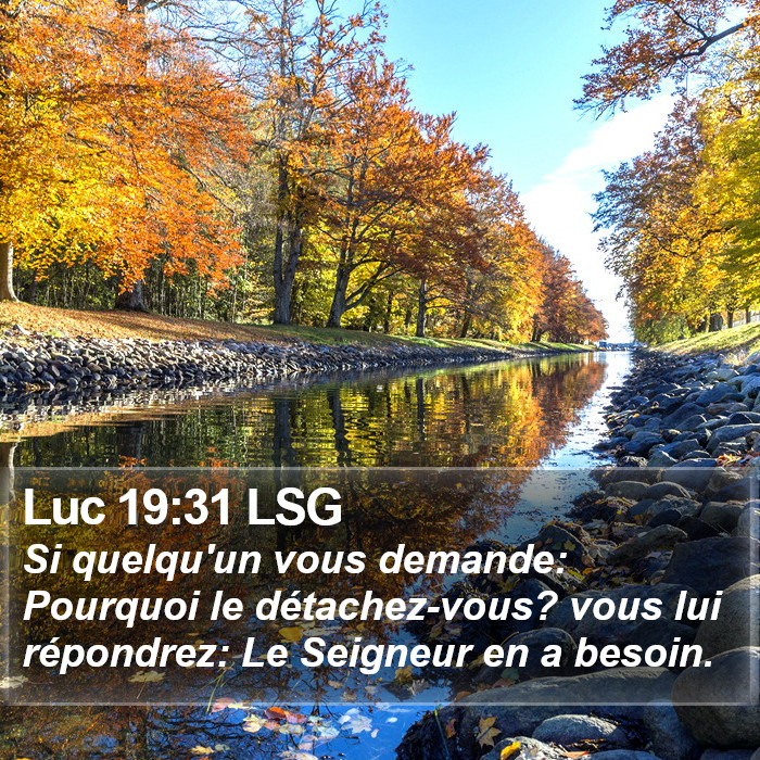 Luc 19:31 LSG Bible Study