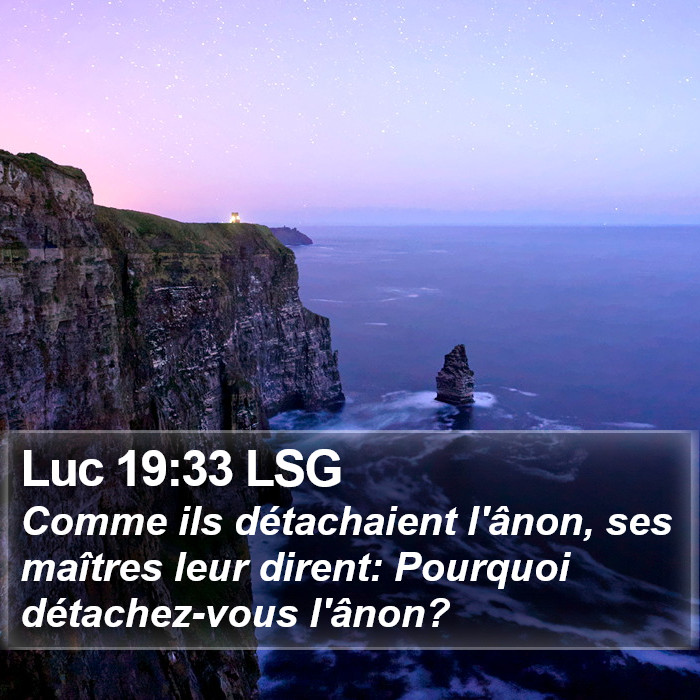 Luc 19:33 LSG Bible Study