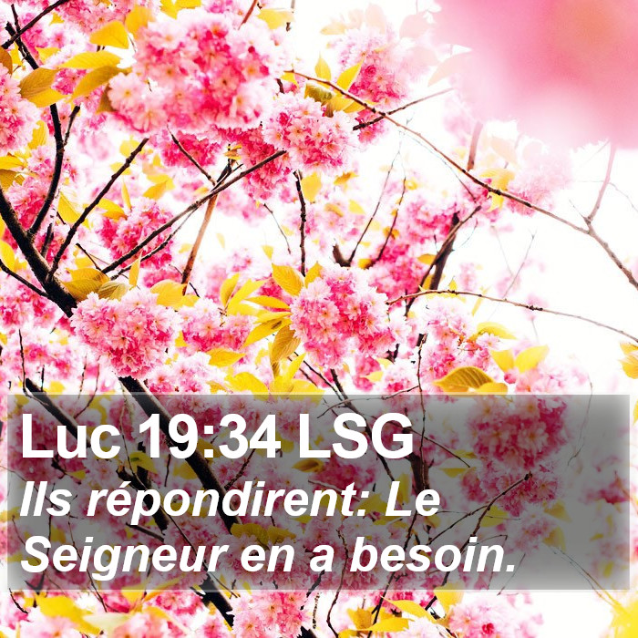 Luc 19:34 LSG Bible Study