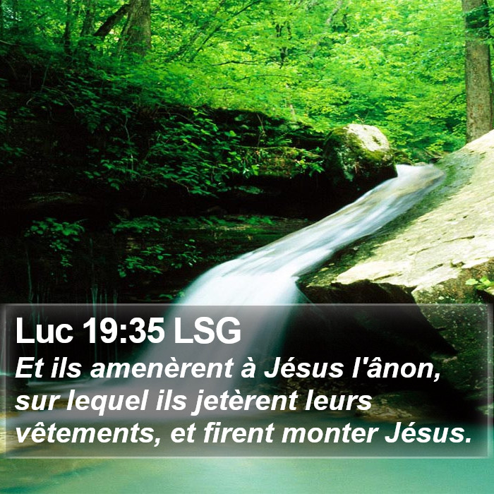 Luc 19:35 LSG Bible Study