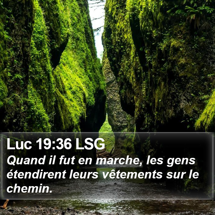 Luc 19:36 LSG Bible Study