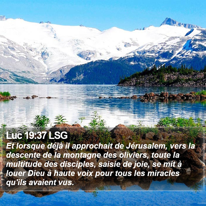 Luc 19:37 LSG Bible Study