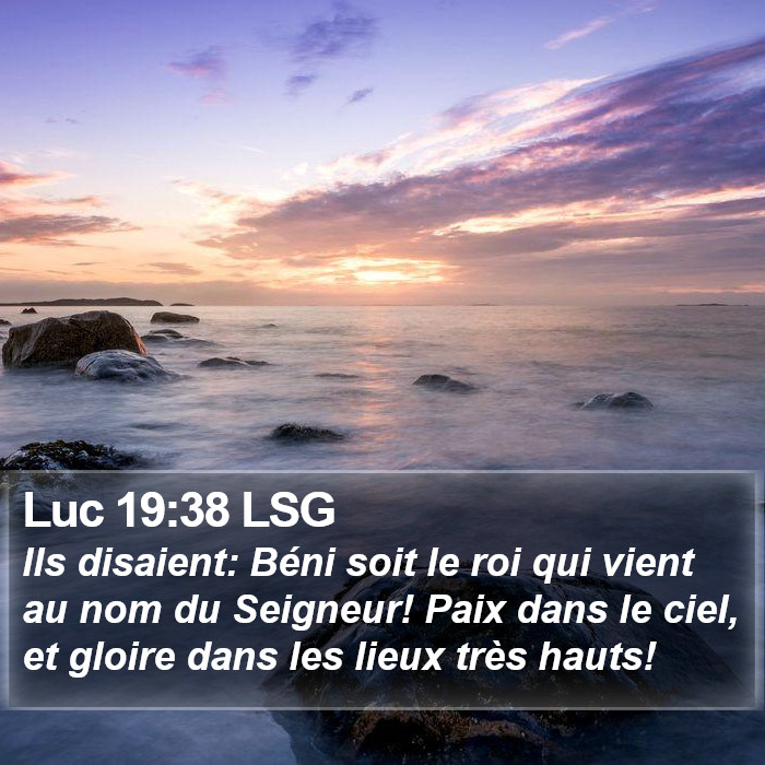 Luc 19:38 LSG Bible Study