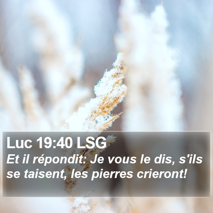 Luc 19:40 LSG Bible Study