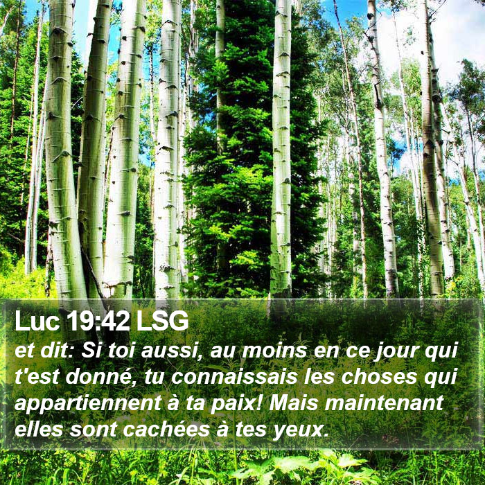 Luc 19:42 LSG Bible Study