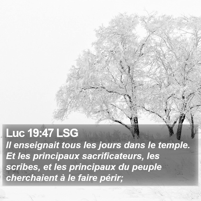 Luc 19:47 LSG Bible Study