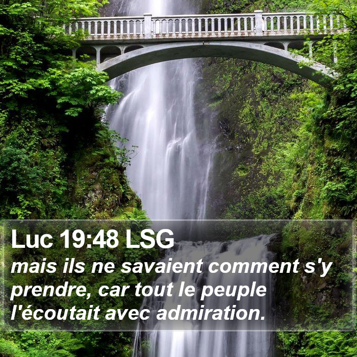 Luc 19:48 LSG Bible Study