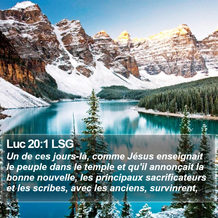 Luc 20:1 LSG Bible Study