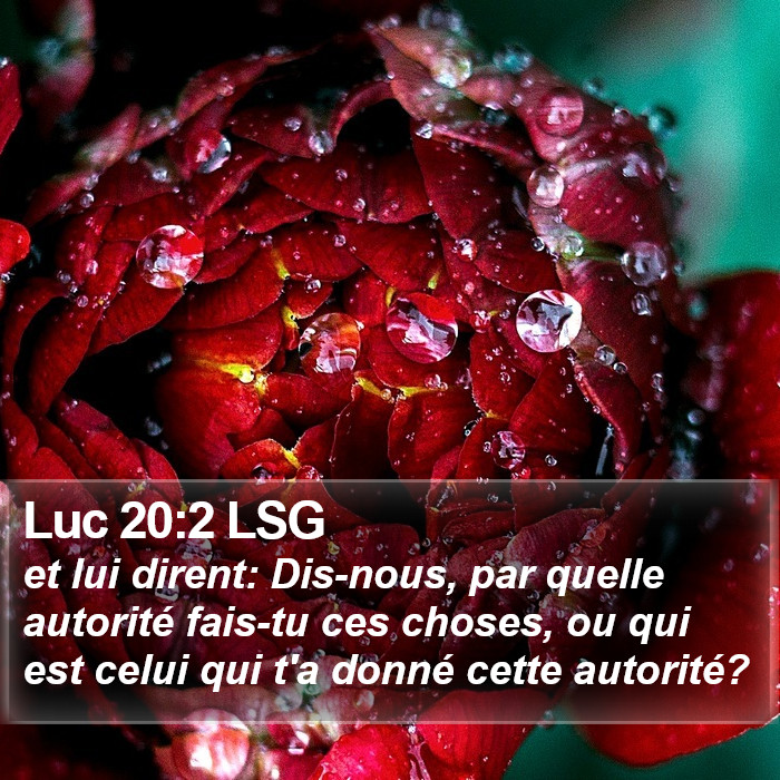 Luc 20:2 LSG Bible Study