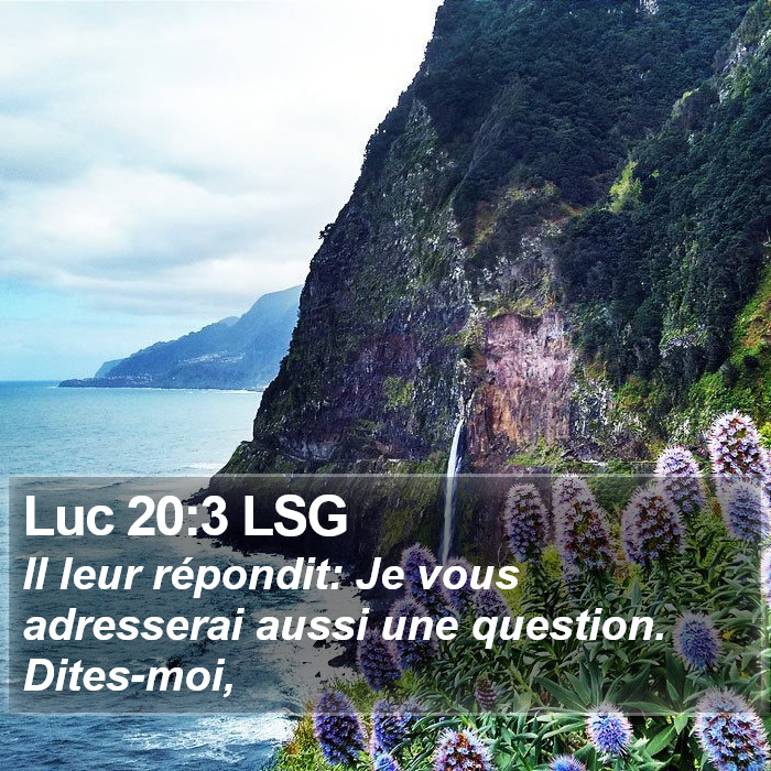 Luc 20:3 LSG Bible Study