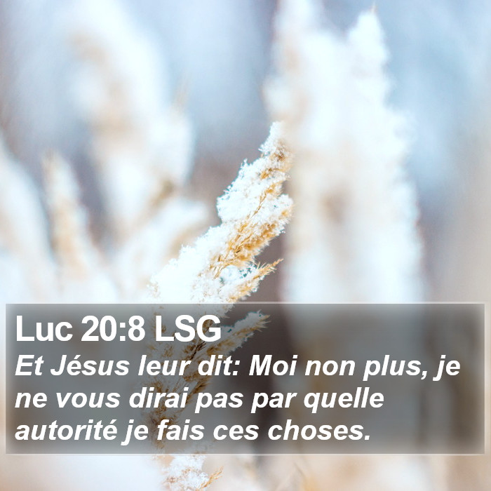 Luc 20:8 LSG Bible Study